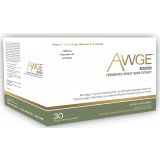 Avemar AWGE Fermented Wheat Germ Extract 30 Packets 510 g (18 oz)