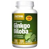 Ginkgo Biloba 120 mg Twinpack 120 + 120 Veggie Caps