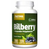 Bilberry + Grapeskin Polyphenols 280 mg 120 Veggie Caps
