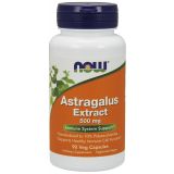 Astragalus Extract 500 mg 90 Veg Capsules