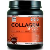 Collagen Sport Ultimate Recovery Complex Belgian Chocolate 1.49 lbs (675 g)