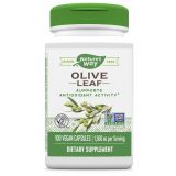 Olive Leaf 500 mg 100 Vegan Capsules