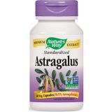 Astragalus Standardized 60 Veg Capsules
