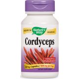 Cordyceps 500 mg 60 Veg Capsules