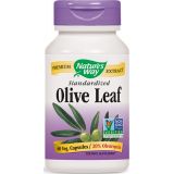 Olive Leaf Standardized 20% Oleuropein 60 Veg Capsules