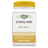 Choline 500 mg 100 Tablets