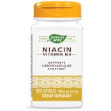 Niacin 100 mg 100 Capsules