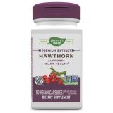 Hawthorn Standardized 90 Vegan Capsules