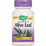 Olive Leaf Standardized 12% Oleuropein 60 Veg Capsules