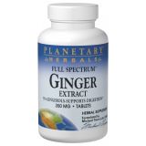 Full Spectrum Ginger Extract 350 mg 120 Tablets